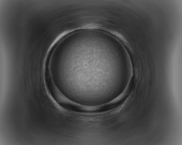 X0000084531422200703021410
