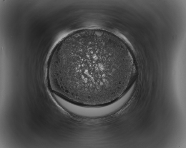 X0000084531424200703021410