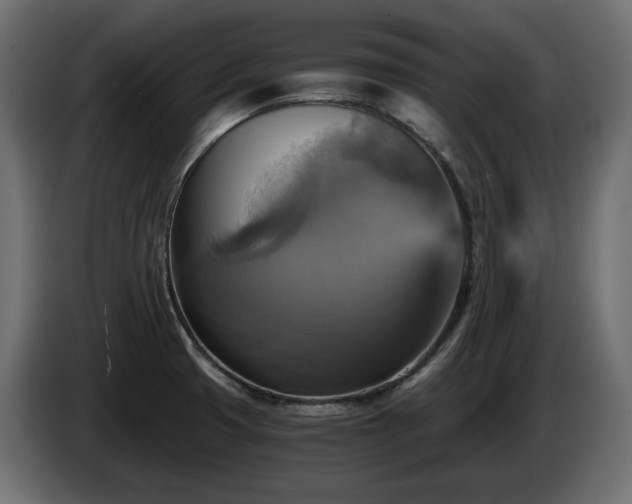 X0000084531425200703021410