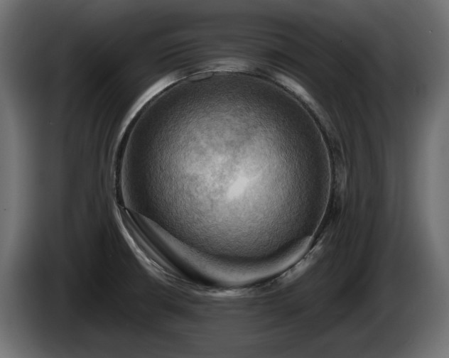 X0000084531426200703021410