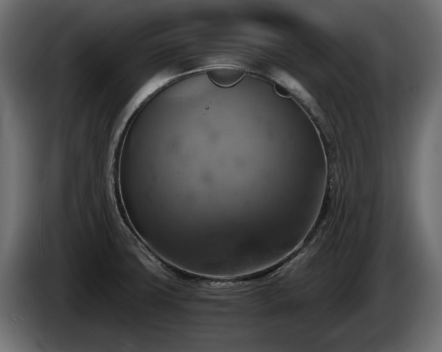X0000084531427200703021410