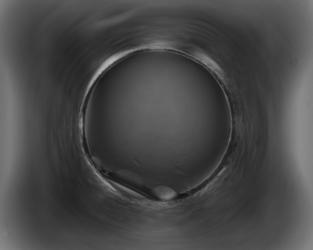 X0000084531428200703021410