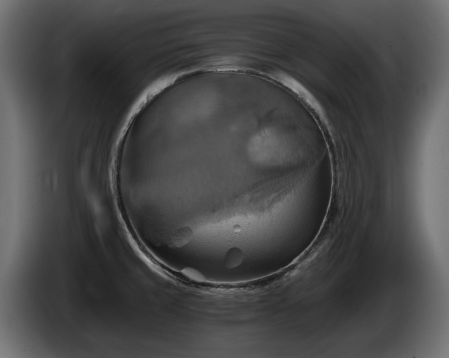 X0000084531429200703021410