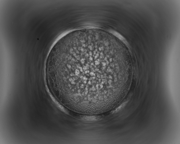 X0000084531431200703021410