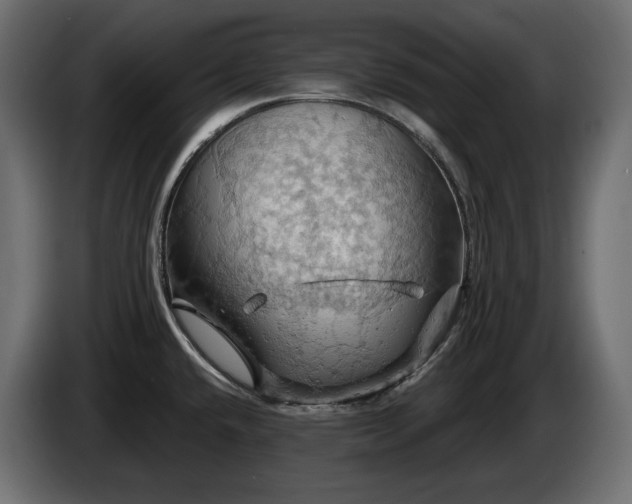 X0000084531432200703021410