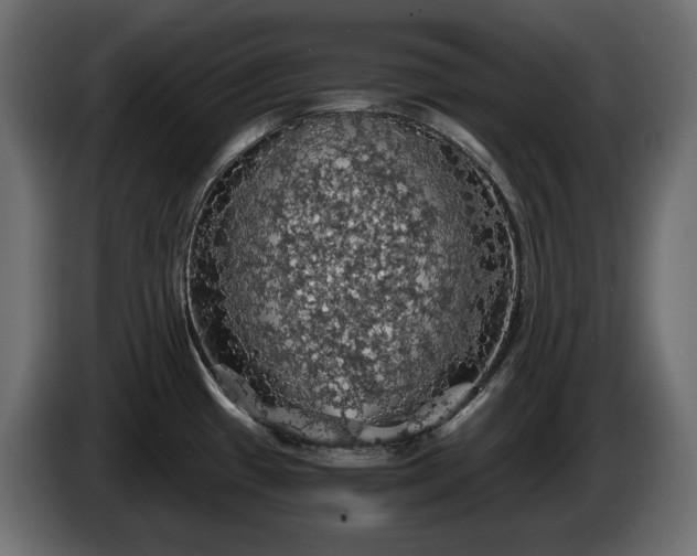 X0000084531433200703021410
