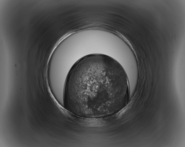 X0000084531434200703021410
