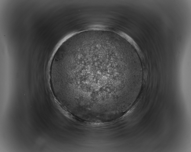 X0000084531435200703021410