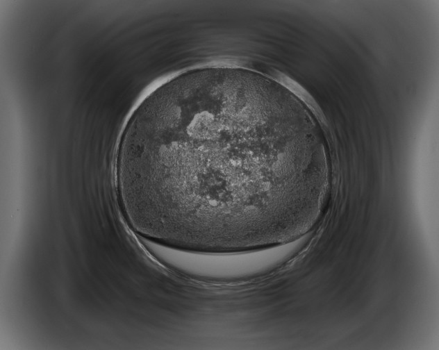 X0000084531436200703021410