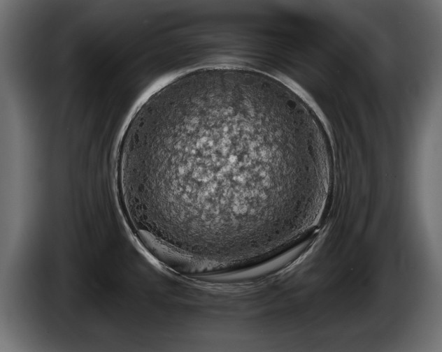 X0000084531437200703021410