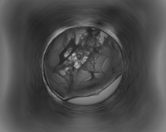 X0000084531439200703021410