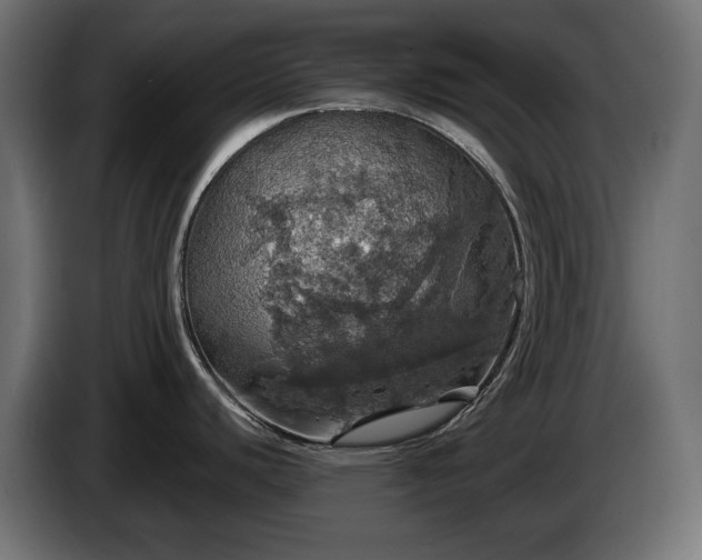 X0000084531440200703021410