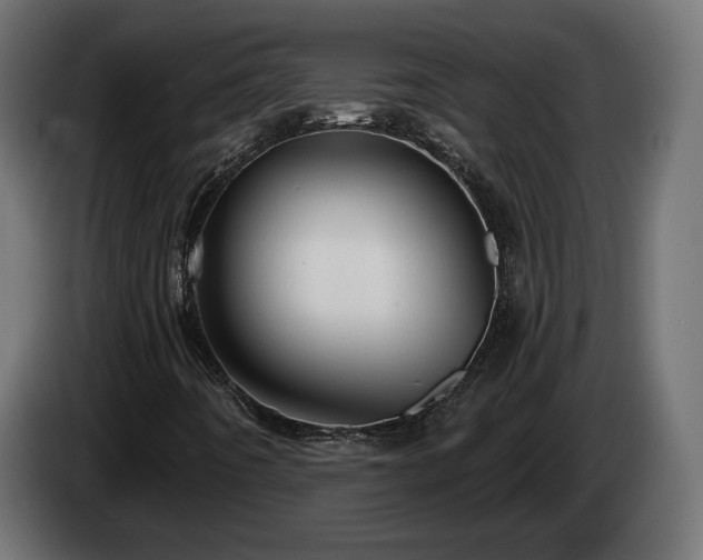 X0000084531442200703021409