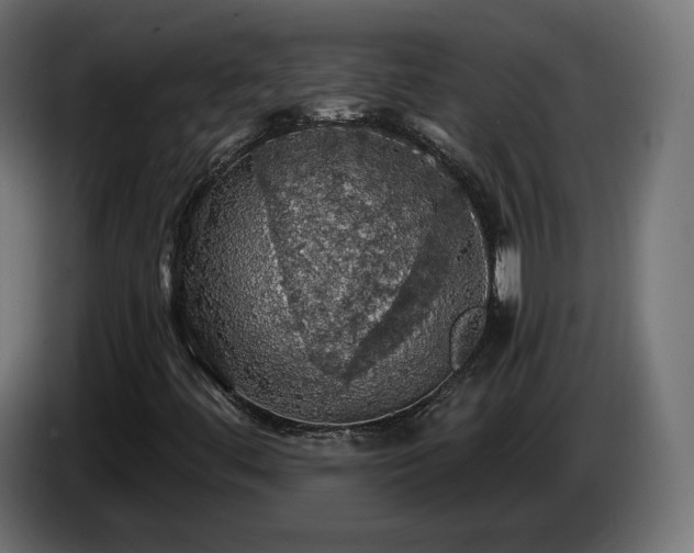 X0000084531444200703021409