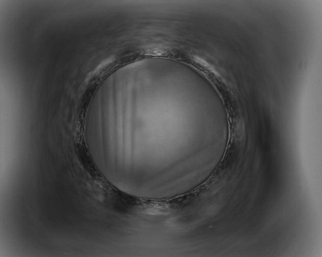 X0000084531446200703021409