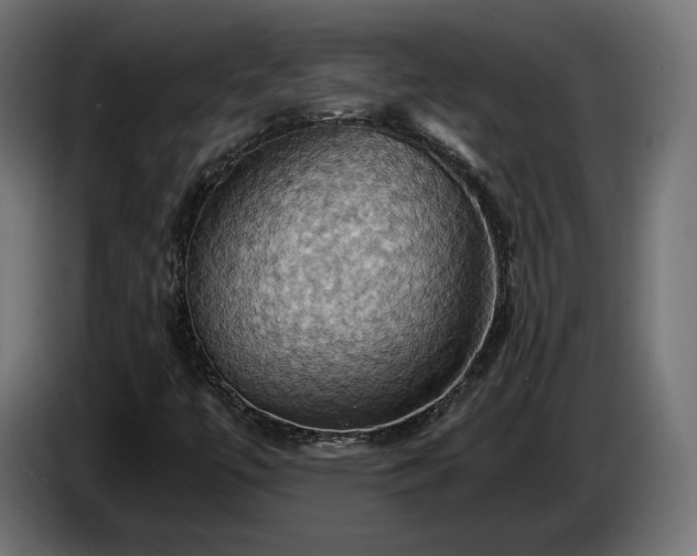 X0000084531447200703021409
