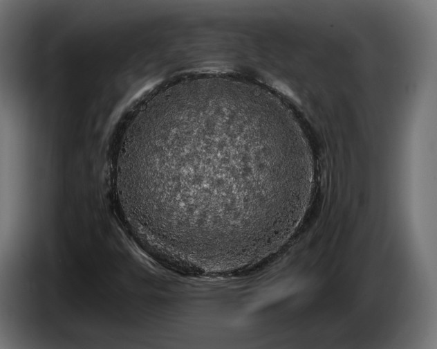 X0000084531448200703021409