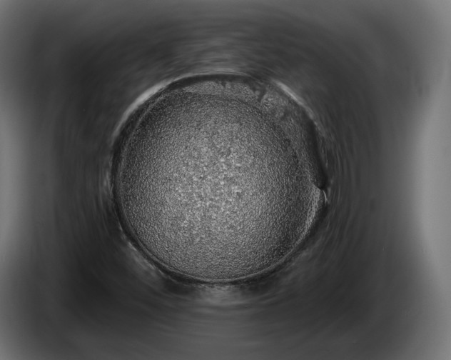 X0000084531452200703021409