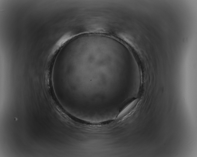X0000084531455200703021409