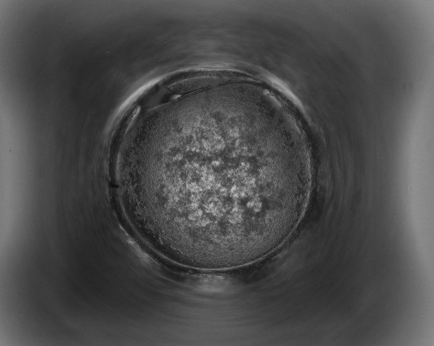 X0000084531456200703021409