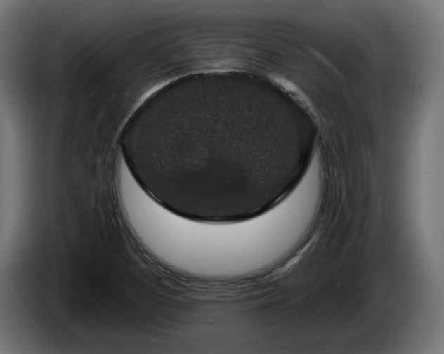 X0000084531457200703021409