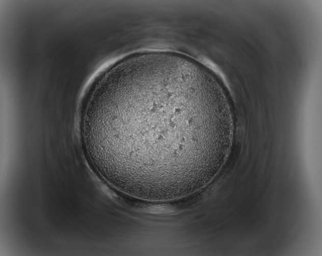 X0000084531464200703021409