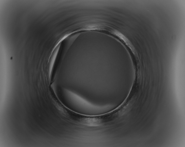 X0000084531465200703021409