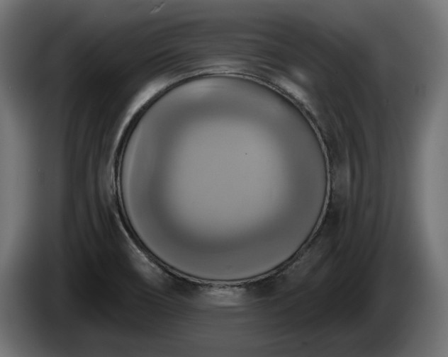 X0000084531466200703021409