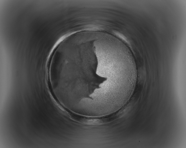 X0000084531467200703021409