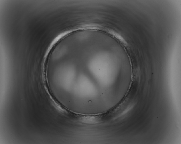 X0000084531470200703021409