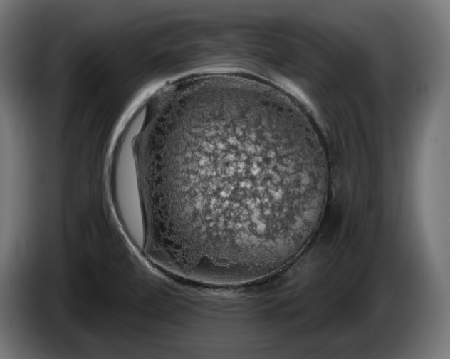 X0000084531472200703021409
