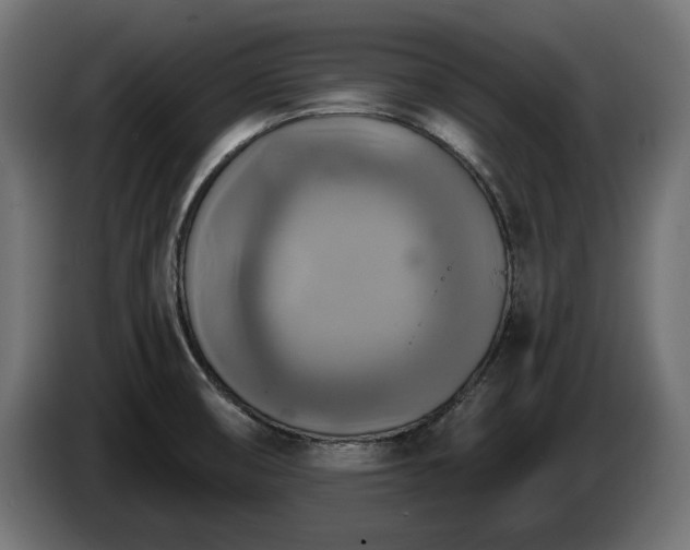 X0000084531474200703021409