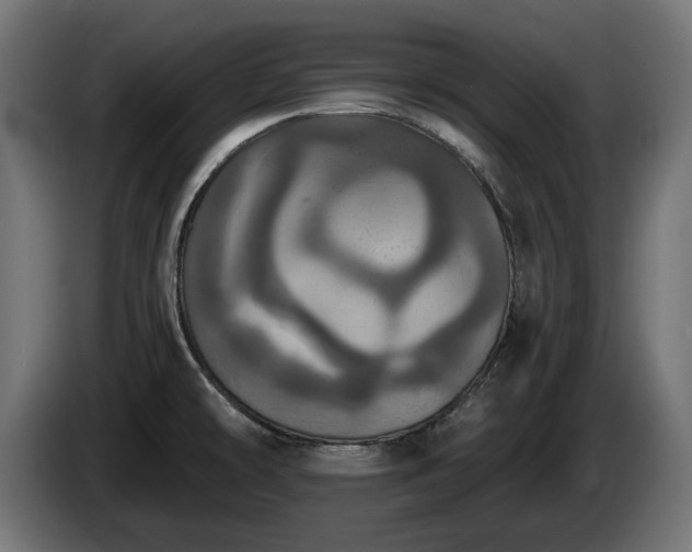 X0000084531478200703021409