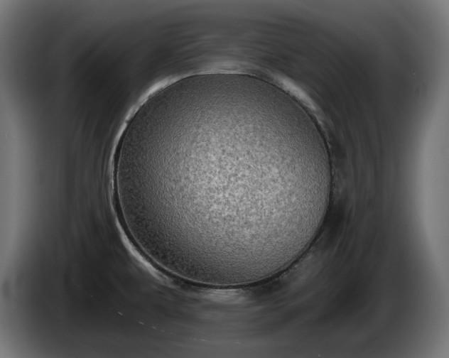 X0000084531479200703021409