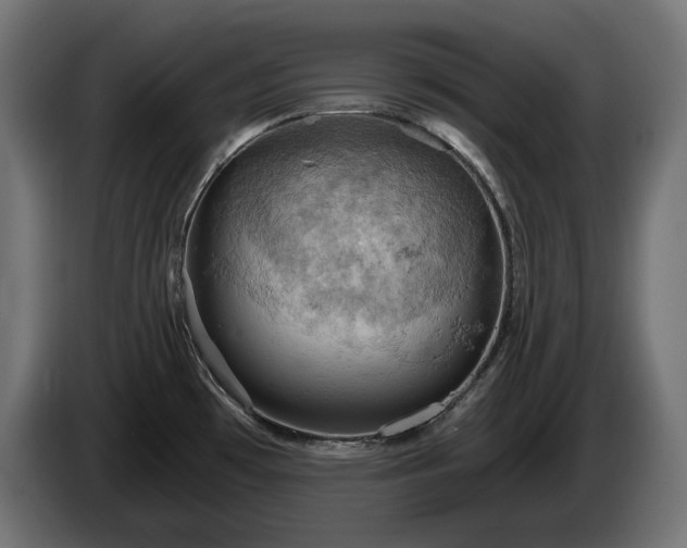X0000084531481200703021409