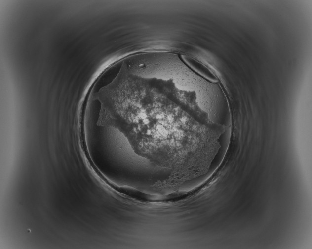 X0000084531483200703021409