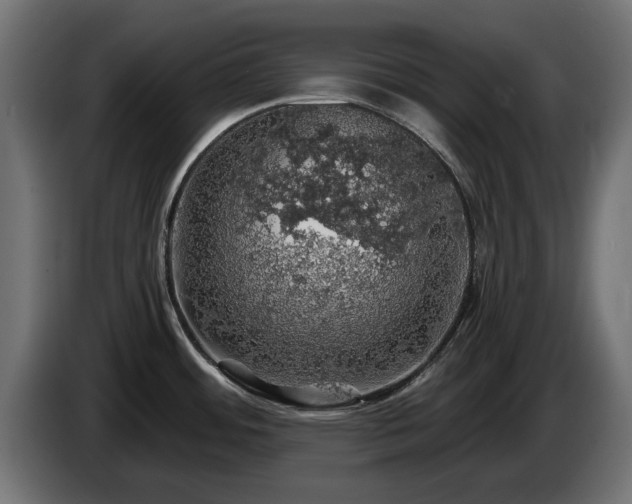 X0000084531484200703021409
