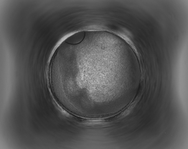 X0000084531486200703021409