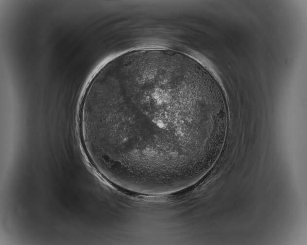 X0000084531488200703021409