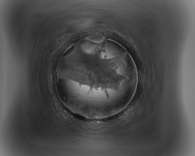 X0000084531489200703021408
