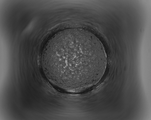 X0000084531490200703021408