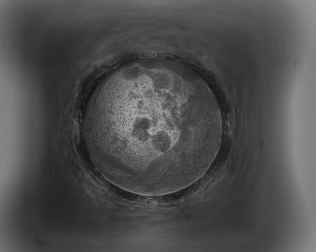 X0000084531493200703021408