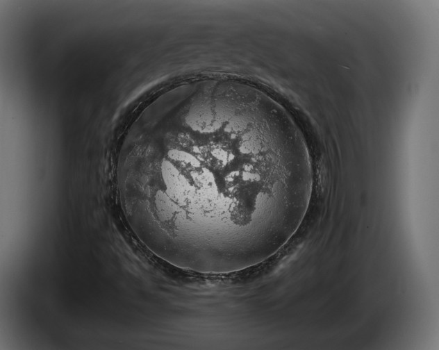 X0000084531494200703021408