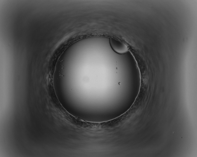 X0000084531495200703021408