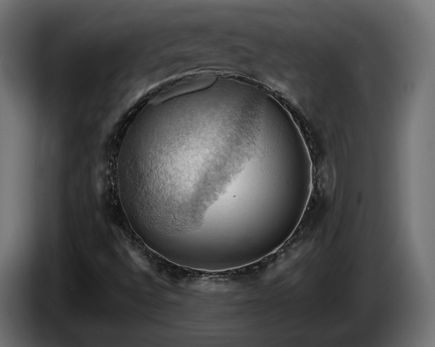 X0000084531496200703021408