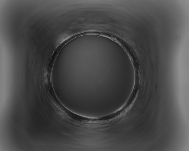 X0000084531497200703021408