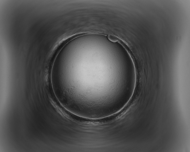 X0000084531499200703021408