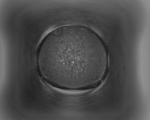 X0000084531501200703021408