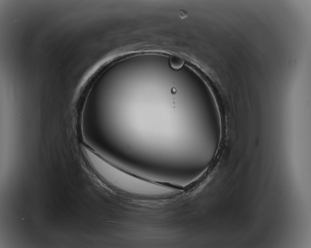 X0000084531502200703021408