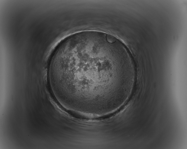X0000084531503200703021408